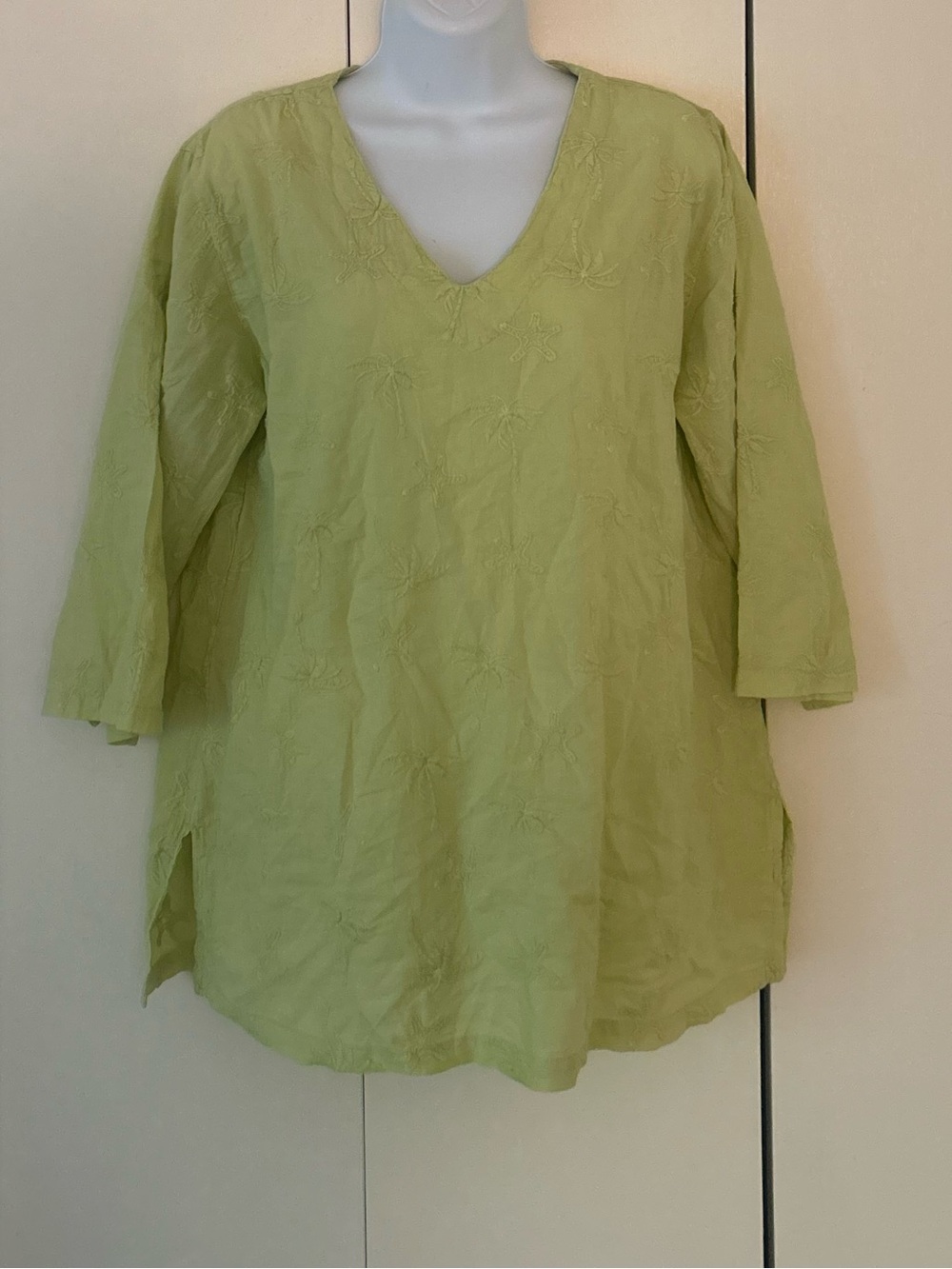 Cottonseed Cotton embroidered V-neck tunic S
